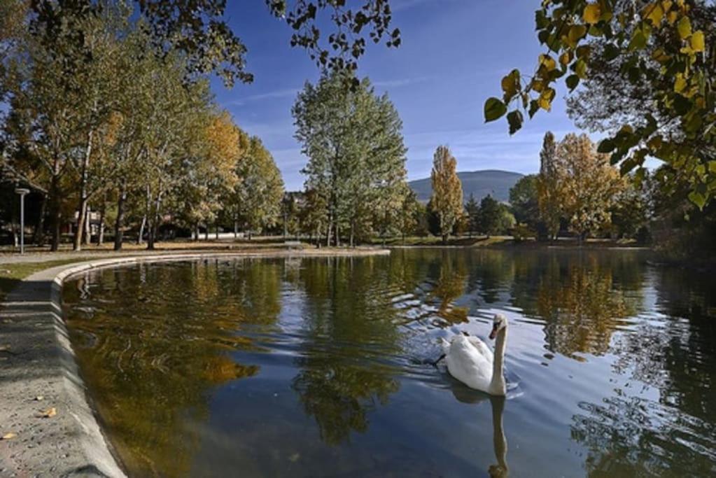 Ideal Parejas - Tranquilidad Y Naturaleza - Vistas Al Lago Osséja Exteriör bild