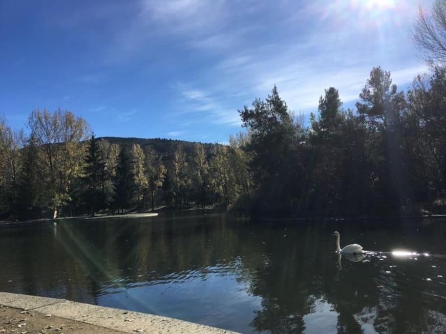 Ideal Parejas - Tranquilidad Y Naturaleza - Vistas Al Lago Osséja Exteriör bild